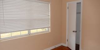 Walk to FSU! 4/2 w/ 2 Living Spaces, Wood Floors, Large Yard, & Washer/Dryer! Avail Aug 6th for $1825/month! Gallery 18