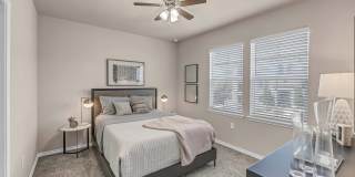 Wiregrass at Stone Oak Gallery 17