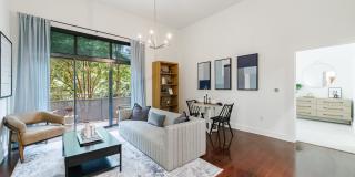 ibex at Uptown Gallery 2