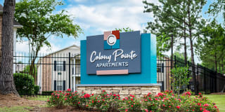 Colony Pointe Gallery 16