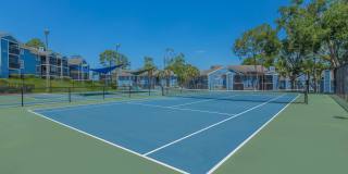 Verandahs at Hunt Club Gallery 13