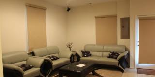 42387 TRELLIS Square Gallery 15