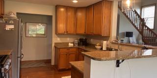 8895 Emerald Hill Dr Gallery 5