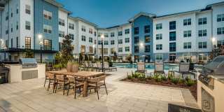 Arcadia 331 Gallery 50