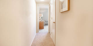 Willow Oaks Gallery 34