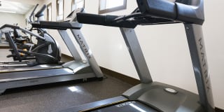 Alsbury Farms Gallery 33