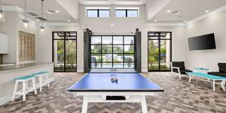 Tortuga Bayside Gallery 9