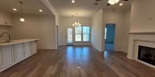 Must see in Zachary! Gallery 11