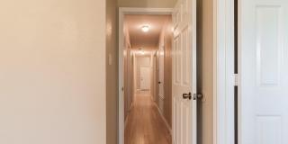 936 Whitewing Lane Gallery 19