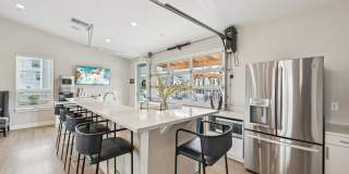 Avanterra Black Forest Gallery 56