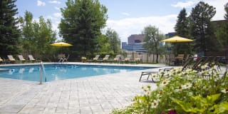 Summit Ridge Gallery 2