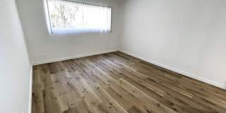 10908 Rose Gallery 16