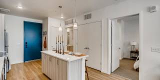 Legacy at Fitz Gallery 62