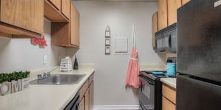 St. Germaine Gallery 4