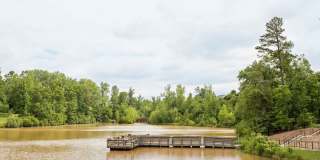 Clemmons Town Center Gallery 27