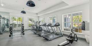 Ivory Lantana Gallery 15