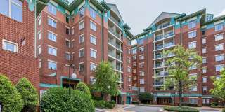 545 E BRADDOCK RD #207 Gallery 1