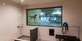 Loria Ansley Gallery 49
