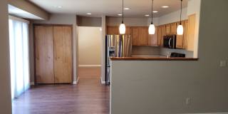 305 Holbrook St. - Gleneagle  - 5 Bed/ 3 Bath / 2 Car Garage Gallery 7