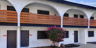 Aster on University Gallery 28