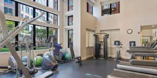 2 Bed/2 Bath Condo in Ballston Gallery 9