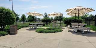 146 Bertram Drive Gallery 25