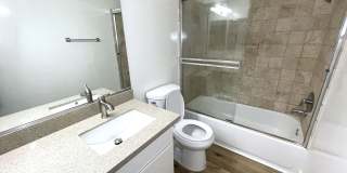 10908 Rose Gallery 19