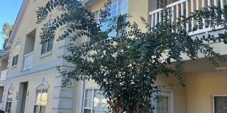 2 Bed, 2 Bath Condo in Downtown Gainesville Gallery 1
