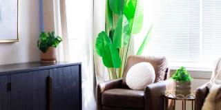 Perkins Homes Gallery 34