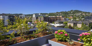 Slabtown Flats Gallery 30