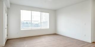 Elevate at 620 Gallery 94