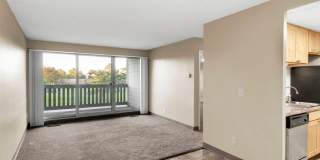 Large 1 & 2 Bedrooms available, PET FRIENDLY! Gallery 33