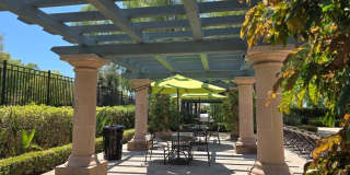 241 Lockford Gallery 14