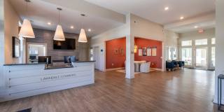 Lawndale Commons Gallery 16