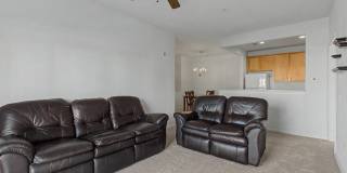 407-D AGGIES Circle Gallery 25