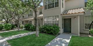 Lifestyles at Los Paseos Apartments Gallery 15