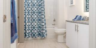 The Point on 38th Gallery 16