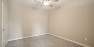 COLE COLE Gallery 40