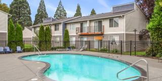 Driftwood Gallery 15