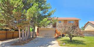 4020 Thundercloud Dr - Briargate Area - 3 Bed/ 2 Bath/ 2 Car Garage 4020 Thundercloud Dr - Briargate Area - 3 Bed/ 2 Bath/ 2 Car Garage Gallery 1