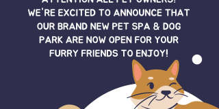 Wildcreek Apartments Gallery 4