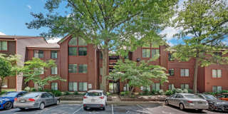 2811 LEE OAKS Court Gallery 1