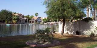 11018 W POINSETTIA Drive Gallery 40