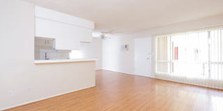 817 S. St. Andrews Pl. Gallery 1