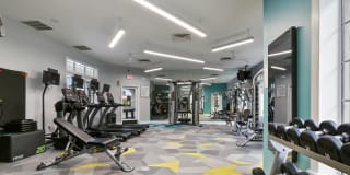 Registry at Windsor Parke Gallery 21