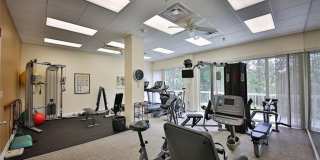 5501 Heron Point Dr unit: 1203 Gallery 24