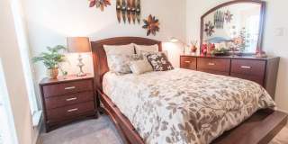 Forest Creek Gallery 10