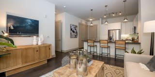 Gateway Chastain Gallery 15