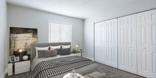 Silver Palms Gallery 11