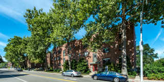 Sunny 1BR in Brookline | Heat & Hot Water Included | 9/1 Gallery 9